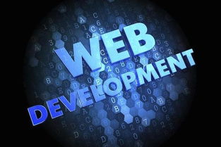 數字時代的黃金賽道 為何計算機軟件開發仍是“最有前途”的專業之選？